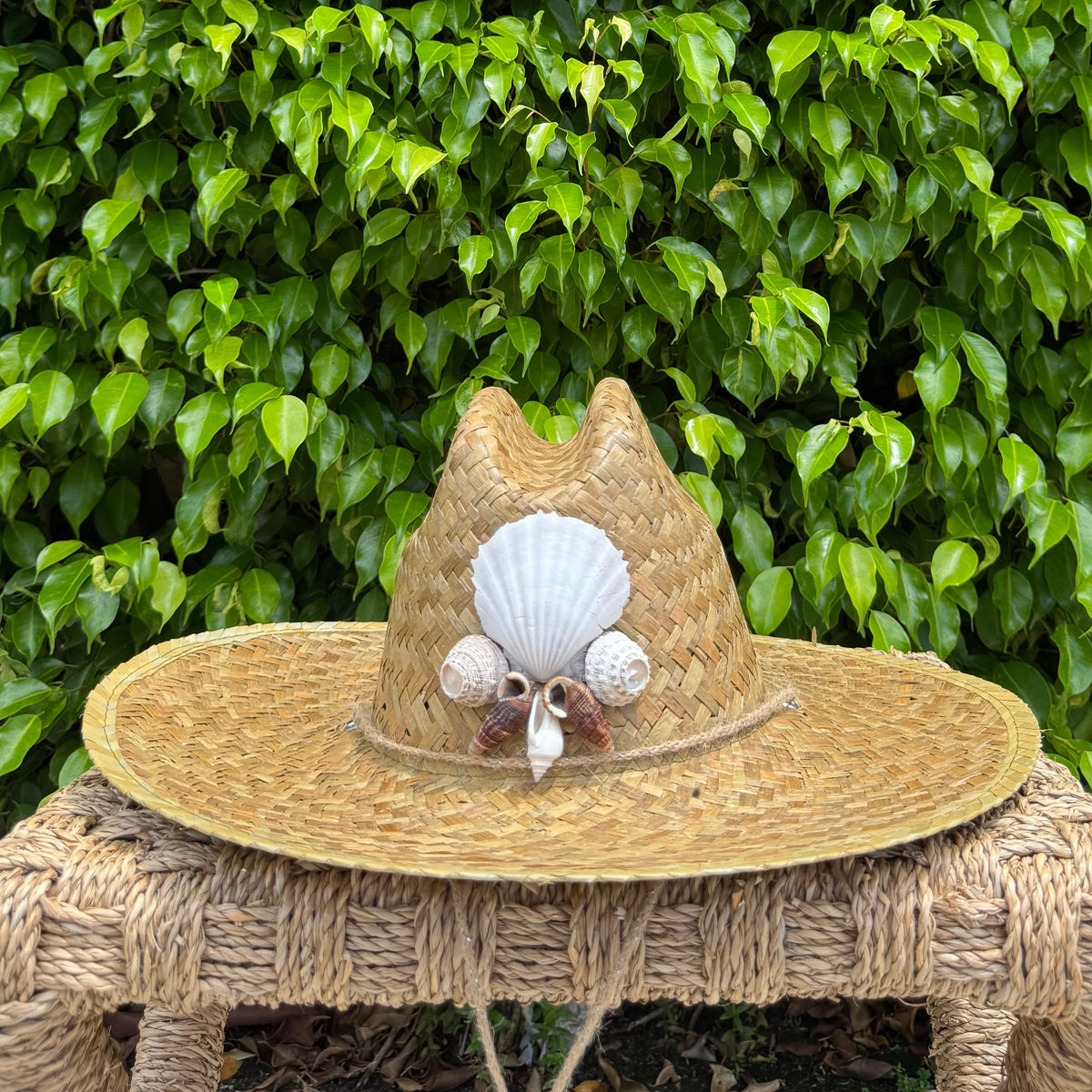 Shell Hat II