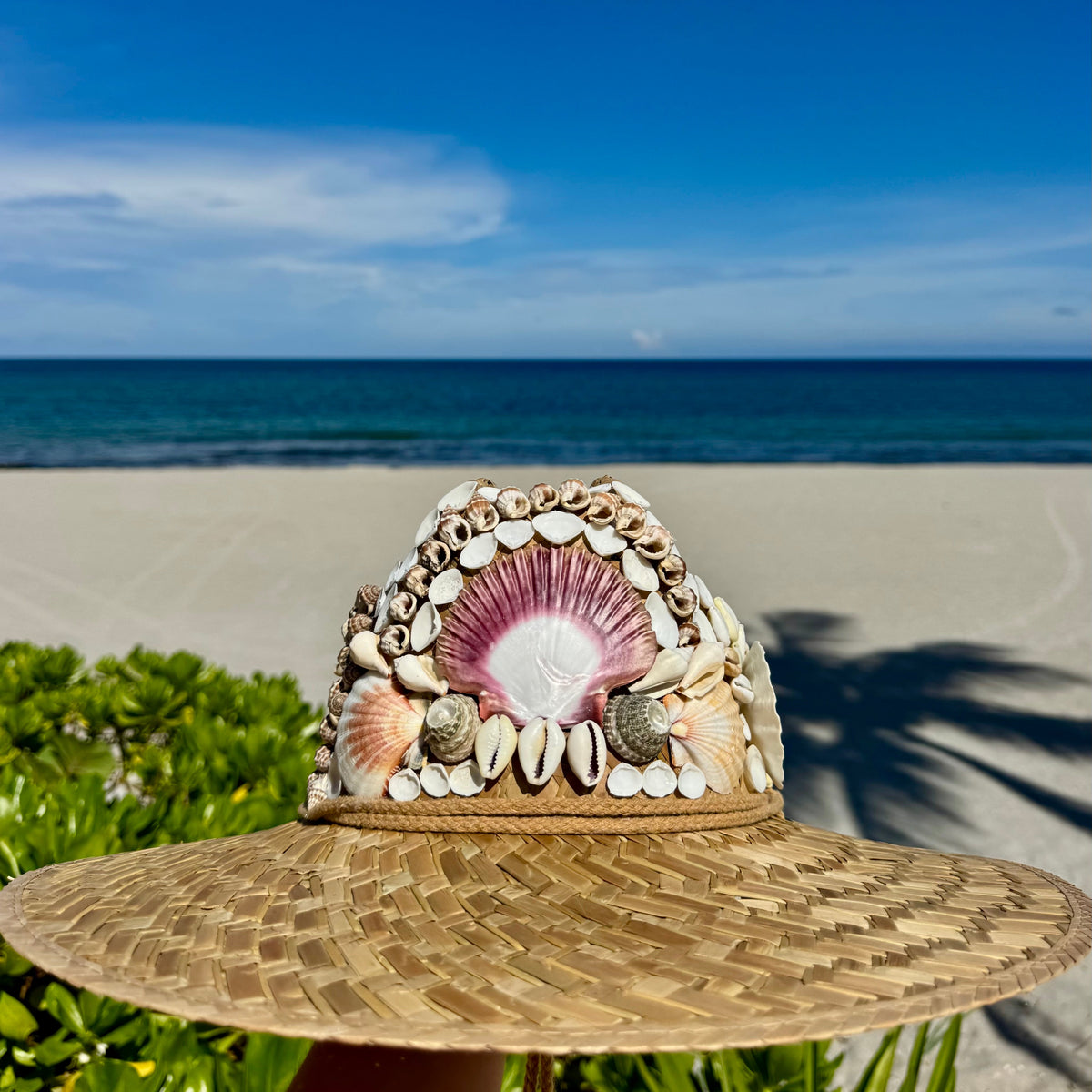 Shell Hat III