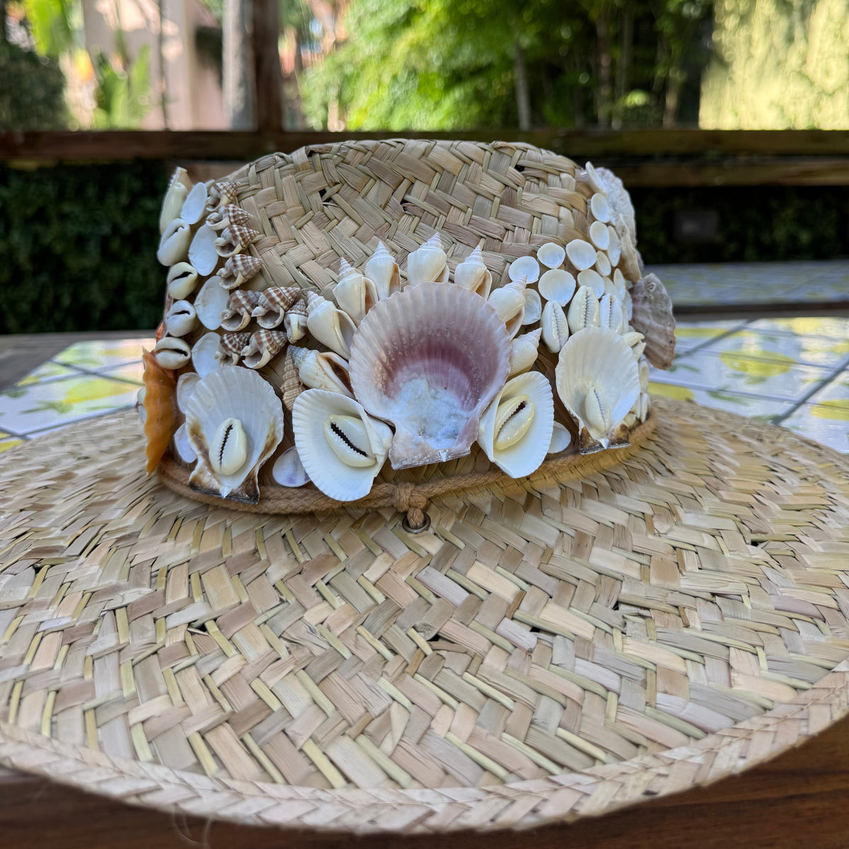 Shell Hat IV