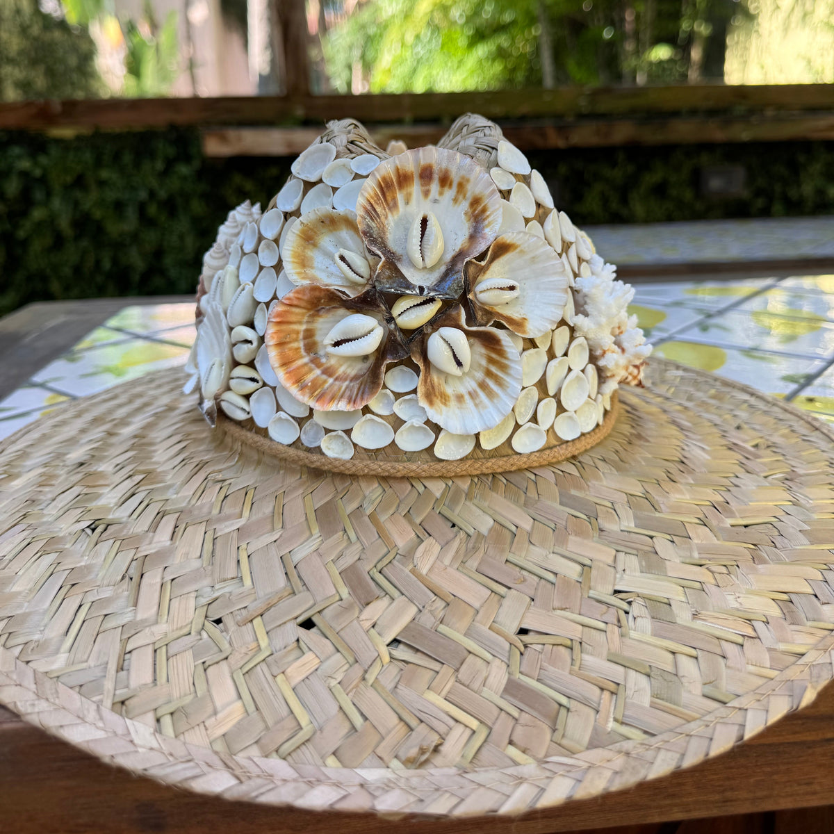 Shell Hat IV