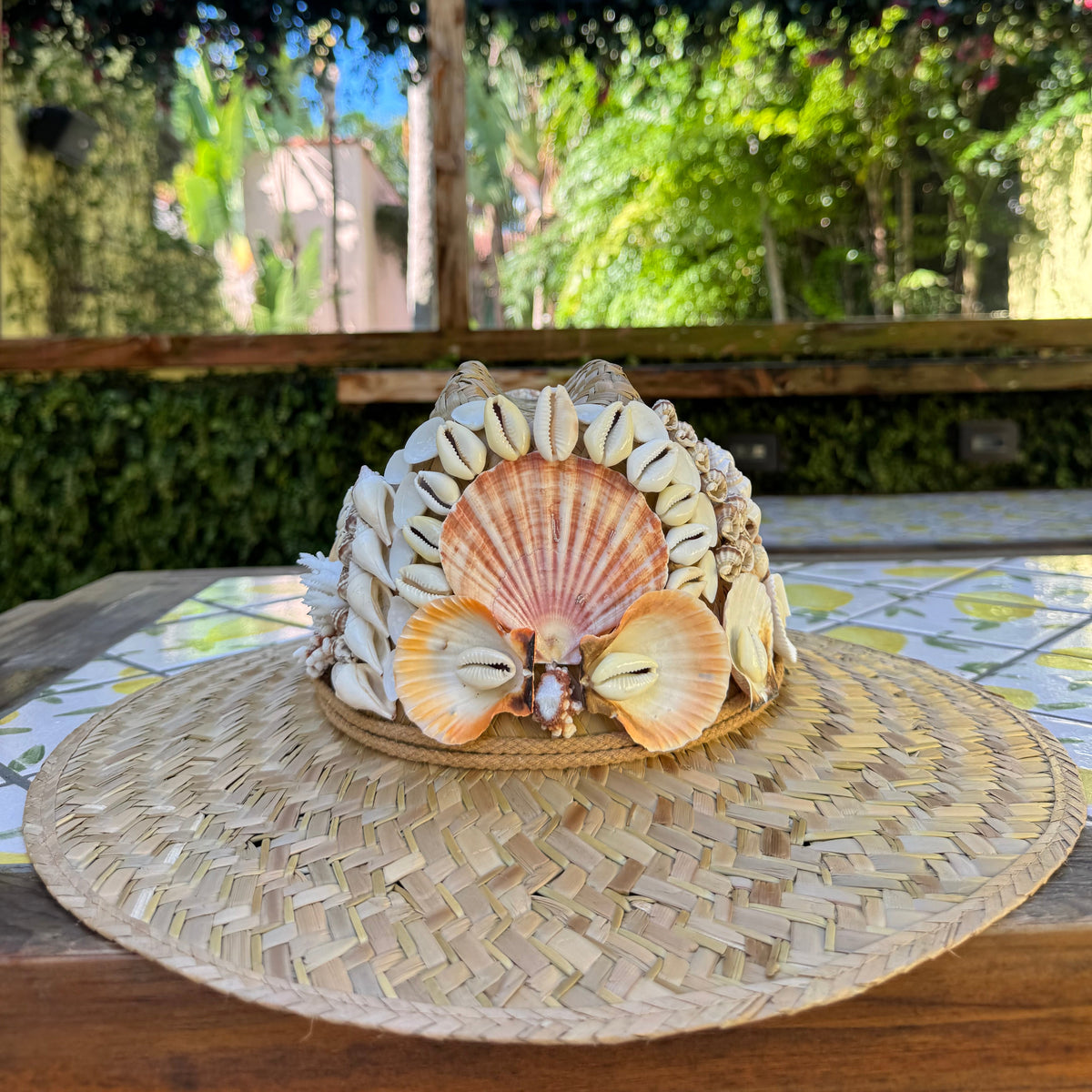 Shell Hat IV